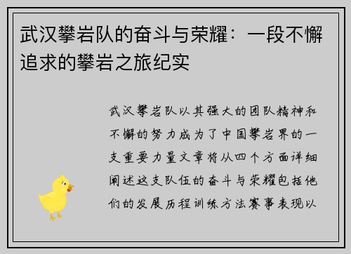 武汉攀岩队的奋斗与荣耀：一段不懈追求的攀岩之旅纪实
