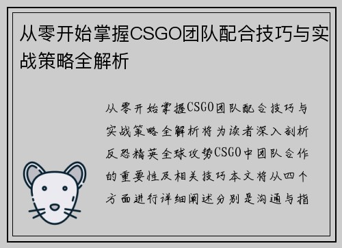 从零开始掌握CSGO团队配合技巧与实战策略全解析